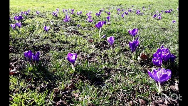 Мои фото. смотреть онлайн