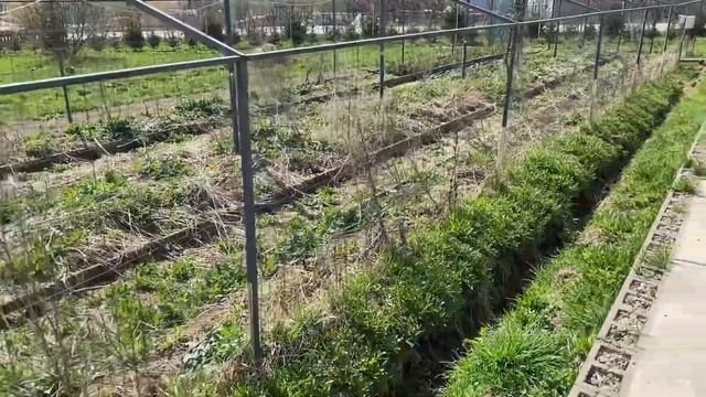 22.04.25. Получила подарок 🥰. Целый день крашу трубы пито? смотреть онлайн