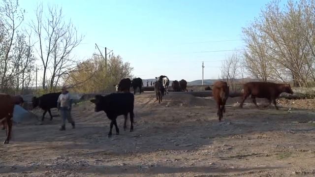 ПЕРВАЯ ПРОБА SONY DSCHX300. смотреть онлайн