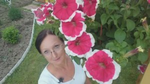 Видео привет с 6 соток 12 июня 2025 года