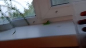 1000000169.mp4