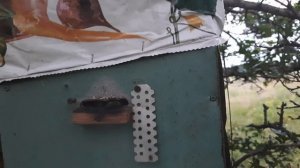 Ловушка сработала!