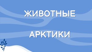 Животные Арктики