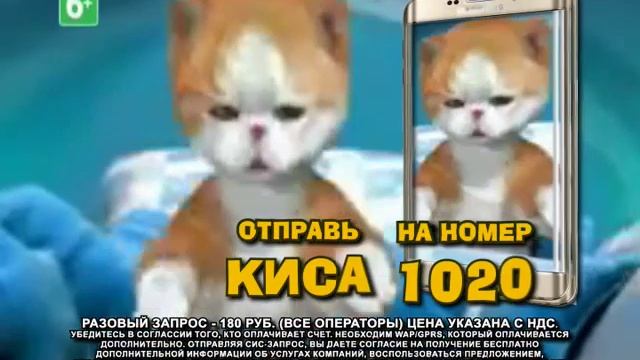 СМС "Киса" на номер 1020 - получай веселые мелодии каждую смотреть онлайн