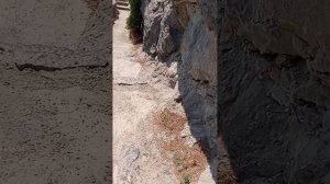 Тропа Голицына 🌴🌴🌴