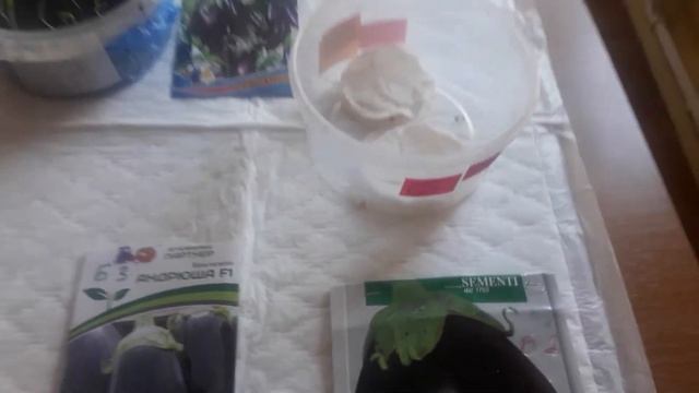 Результат проращивания итальянских семян баклажан на смотреть онлайн