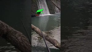 Рыбалка на течении. Поплавок Высоцкого ПРОНЫРА. Мормы?