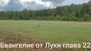 Библия Евангелие от Луки глава 22