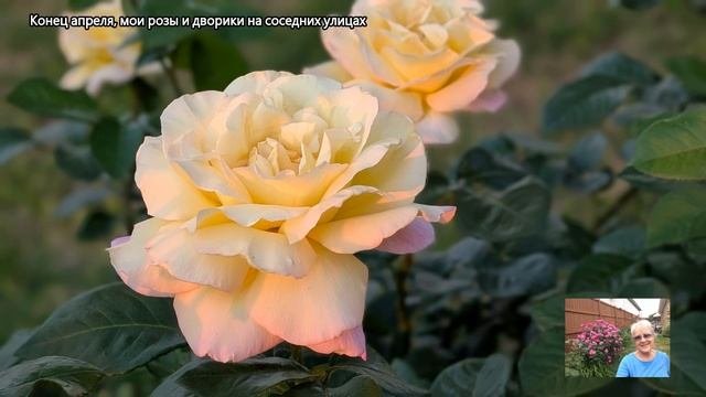 Ландшафтный дизайн. Как оформить участок: примеры цве?