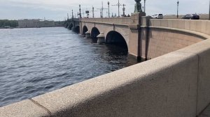 Нева  тёмного цвета.