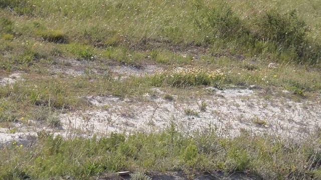 село Костомарово смотреть онлайн