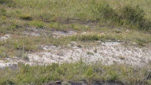 село Костомарово