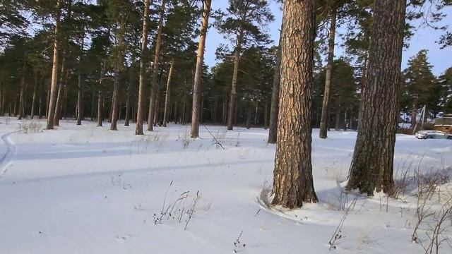 Самый дешевый гусеничный комплект на Kawasaki 2T, оно даже ? смотреть онлайн