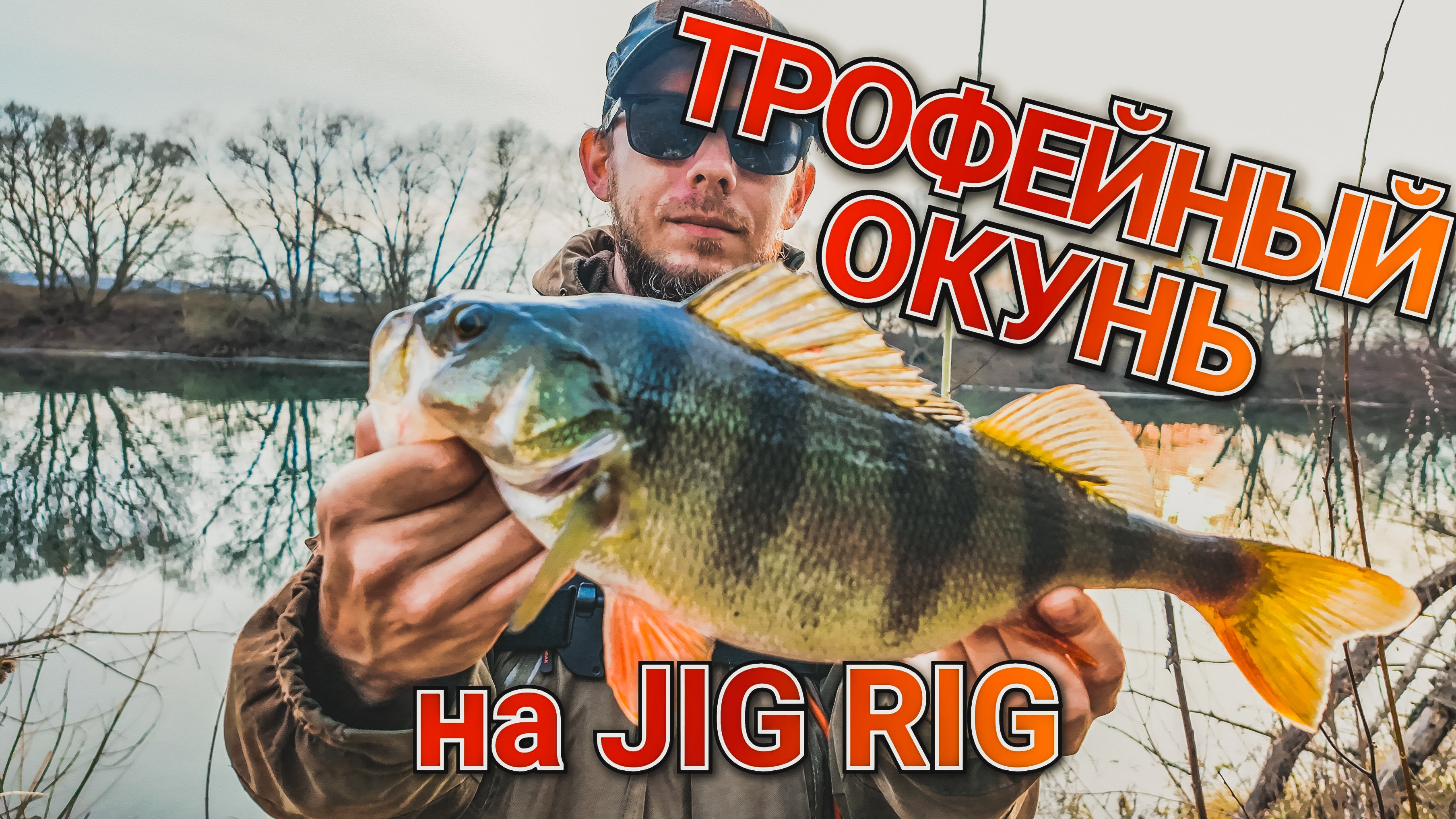 Jig Rig выручает в бесклевье | Ловля трофейного окуня осенью | Лучшая оснастка для пассивной рыбы смотреть онлайн