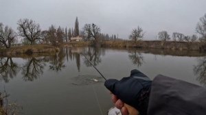 Перші враження та ОГЛЯД на НОВИНКУ від EVERGREEN | Ловля ОК?