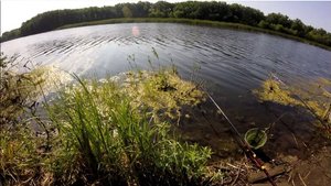 Рыбалка на удочку