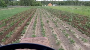 обработка картофеля ежами т30-69