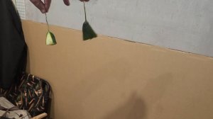 Огуречный аттракцион для морских свинок Улли и Пулли 🥒