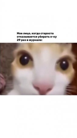 Это последний раз