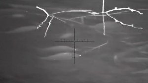 Шамайка сколько много (SYTONG HT70 LRF 850 цифровой прицел ноч?