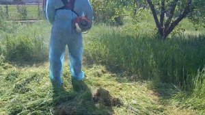 Мотокоса хольцформа 250 штиль фс 250 в деле косим траву л?