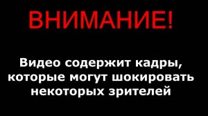 Как мы прожили 2024 год.