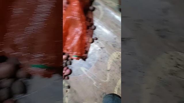 как получить хороший урожай картофеля смотреть онлайн