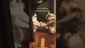 Синхронизация