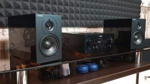 Yamaha NS-BP110  или конец эпопеи с синтепоном)