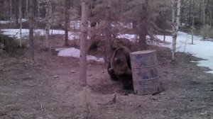 Весна 2025 - Азарт и хороший выстрел