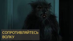 Сопротивляйтесь ВОЛКУ