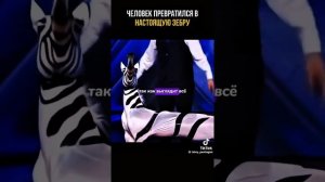 Человек превратился в зебру на шоу талантов