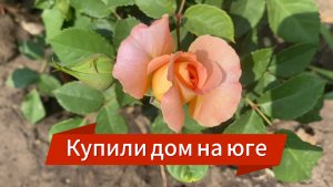 592ч🏡12.06.25-Гость на участке с утра//Клнстантин заливает пол в хозблоке//Высадила подарки))