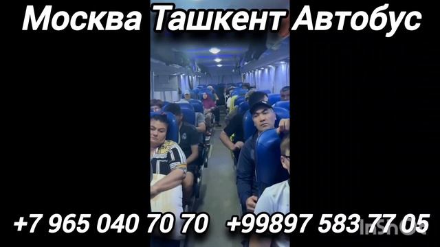 москва#ташкент#автобус#ташкент#москва#автобус#красна? смотреть онлайн
