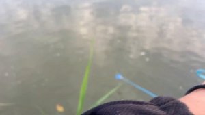 Закидываем Кастинговую Сеть