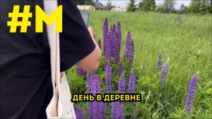 #МОНТЯН: В деревне на День России