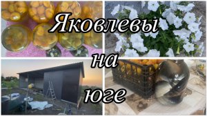 593ч🏡13.06.25-Установил дверь//Закатала огурцы и компот из абрикосов//День очень длинный 😉