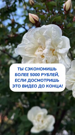 ТЫ СЭКОНОМИШЬ БОЛЕЕ 5000 РУБЛЕЙ, ЕСЛИ ДОСМОТРИШЬ ЭТО ВИДЕО ДО КОНЦА!
