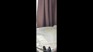Краш обиделся