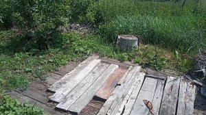 жизнь в деревне