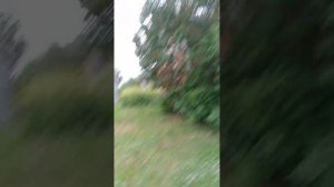 1000012295.mp4