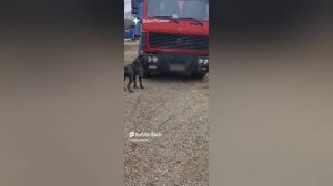 ПАПКА ПРИЕХАЛ!
