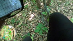 Чемпионат Волгоградской области. Июнь 2025. Кросс-классика. Ориентирование от первого лица.