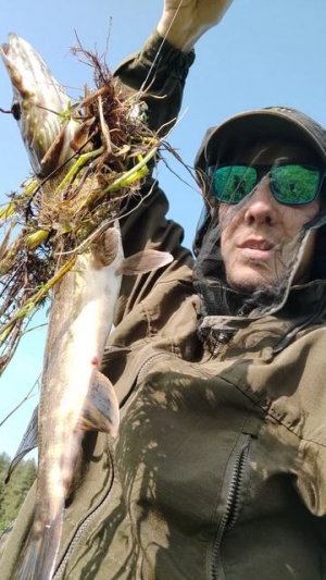 Щука обмоталась и взяла возле берега #рыбалка #fishing #блеснанащуку