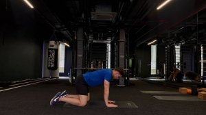 Cat-cow (кошка-корова, сгибание-разгибание)