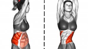 Упражнения для надоедливого Живота и Тонкой Талии