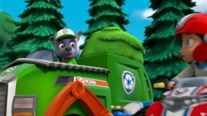 Щенячий патруль | Щенячий патруль спасает зверушек! С Райдером и Трэкером | Nick Jr. Cyrillic