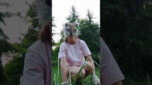 всем мяу ;3 
как научиться прыгать 
квадробика