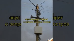 звук Серены