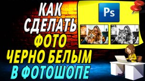 Как сделать фото в фотошопе черно белым. Как в фотошопе сделать изображение черно белым